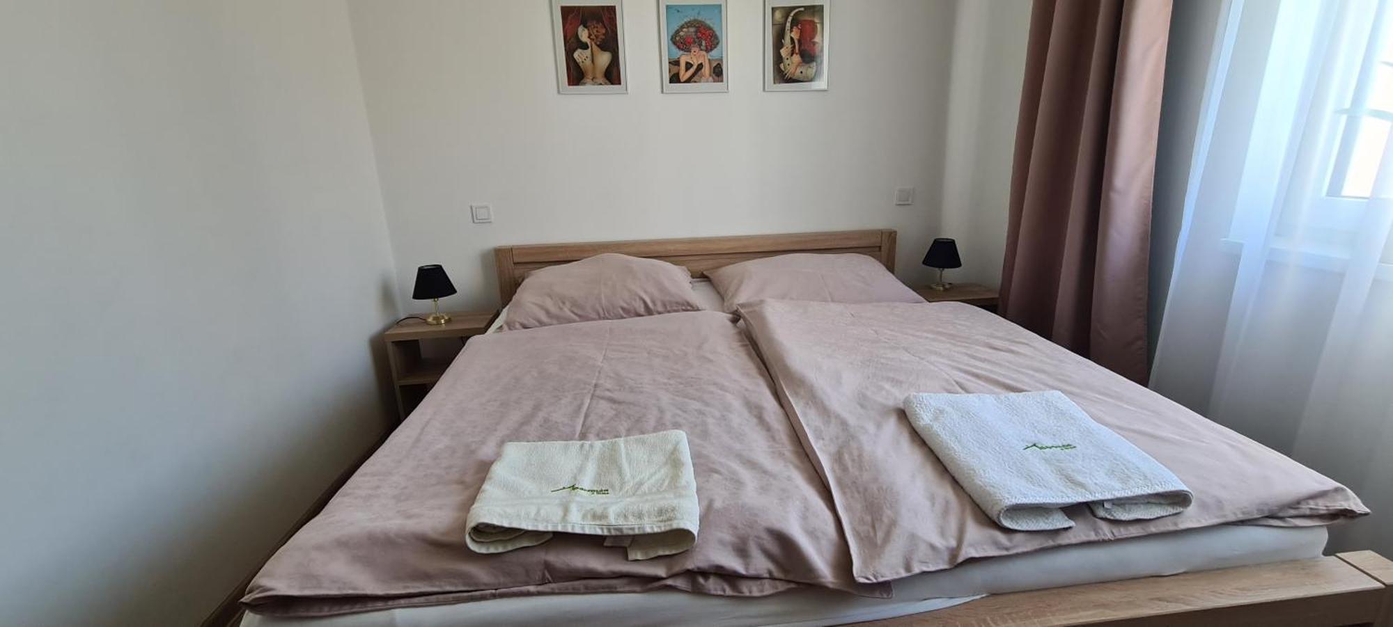 Apartman U Toma Frydlant nad Ostravici Luaran gambar