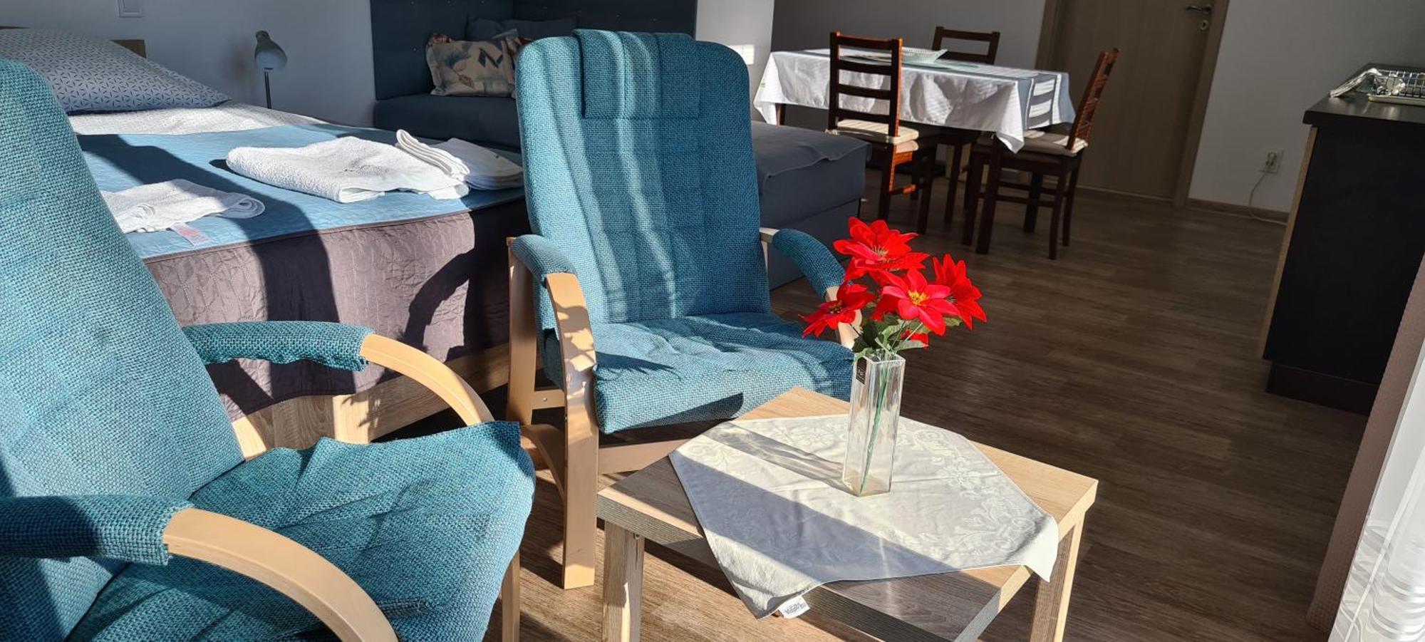 Apartman U Toma Frydlant nad Ostravici Luaran gambar